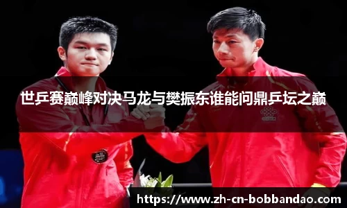 BOB半岛体育官方网站